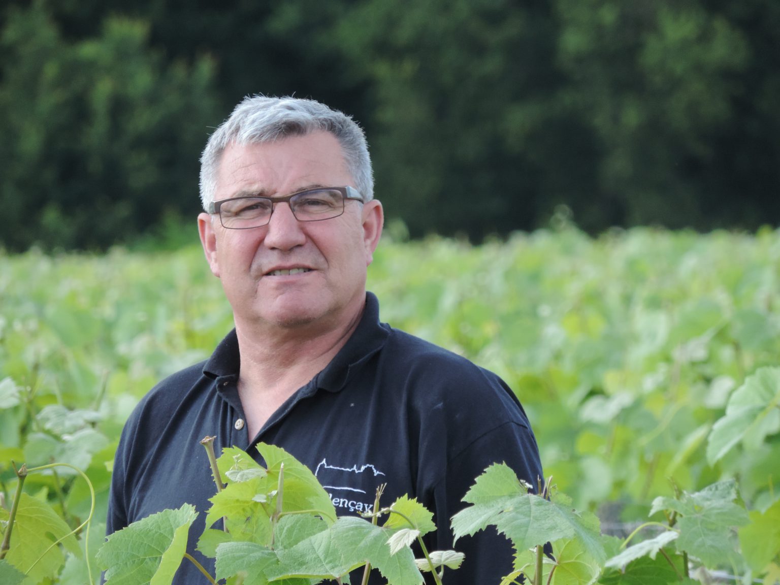 Vigneron JEAN FRANCOIS ROY Les Zauthentiques